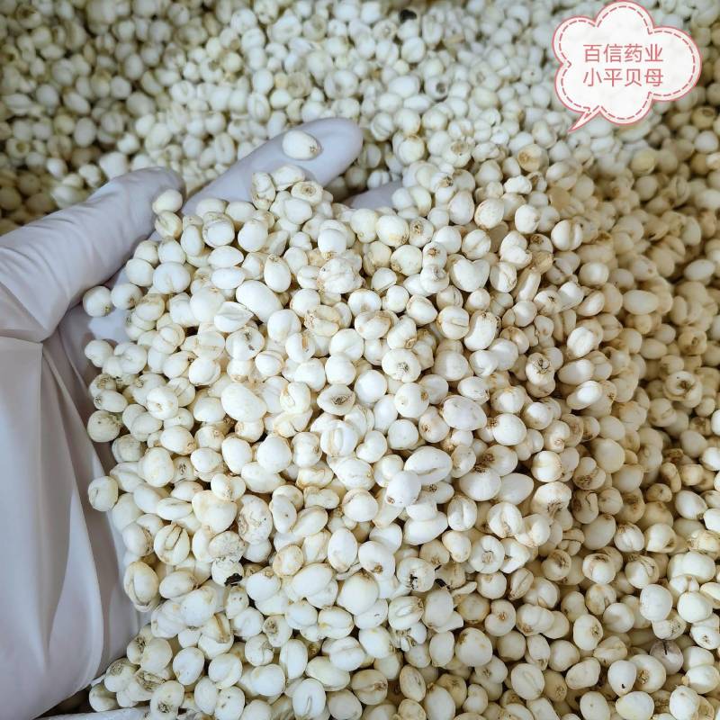 九节菖蒲正品无硫货产地采购一手货源全国发货