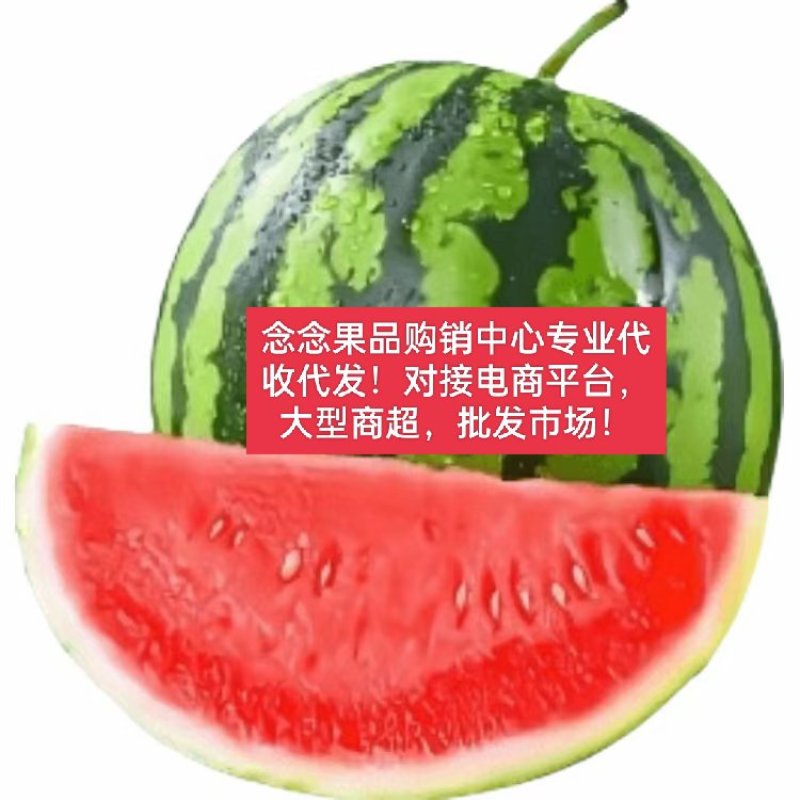 早春红玉冰淇淋小糖丸西瓜大量上市，量大质优，代收代发