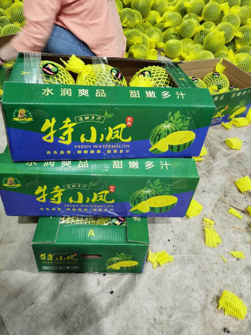特小凤西瓜黄瓤西瓜产地直供货源充足代发全国