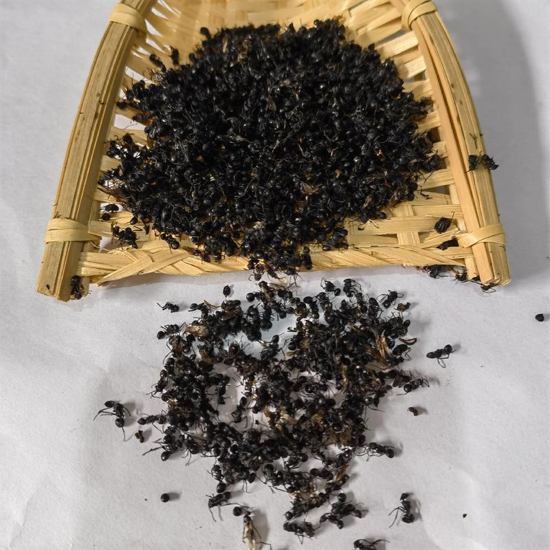 黑蚂蚁正品无硫货质量保证货源充足物美价廉颜色好