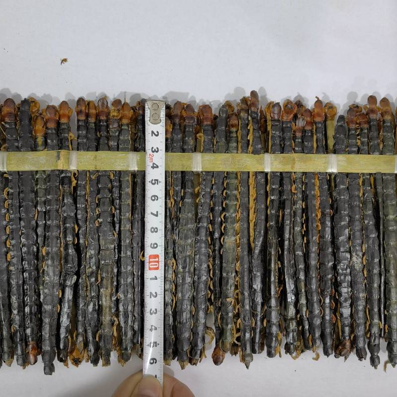 黑蚂蚁正品无硫货质量保证货源充足物美价廉颜色好
