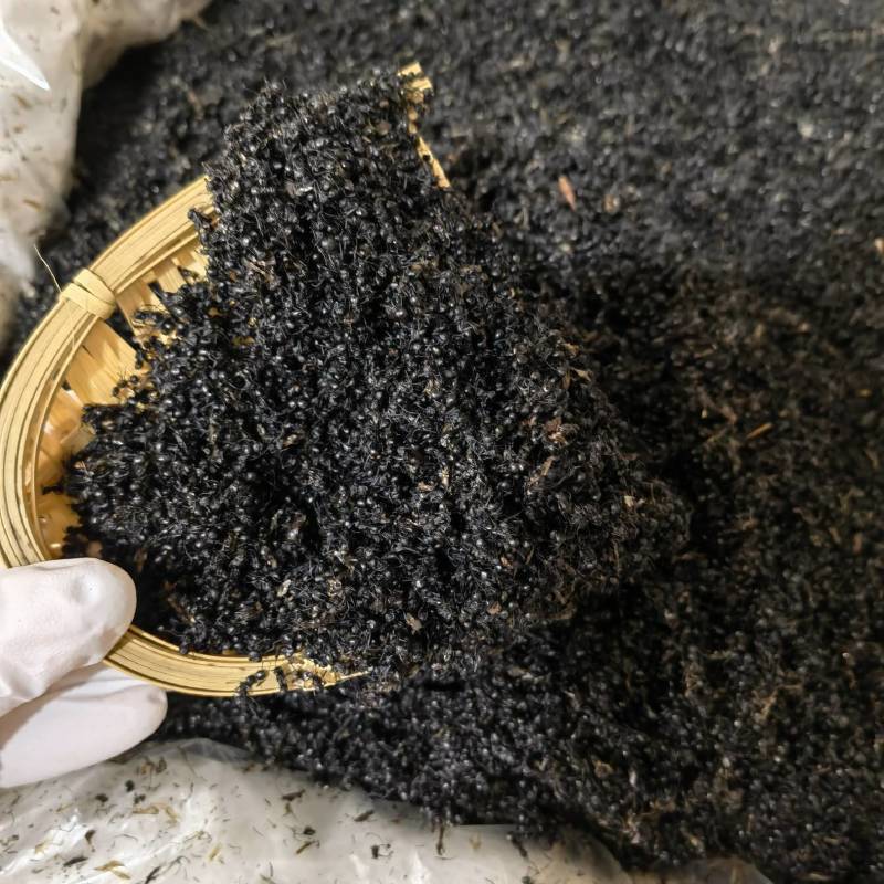黑蚂蚁正品无硫货质量保证货源充足物美价廉颜色好