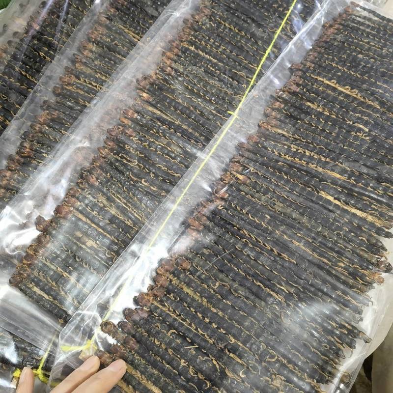 黑蚂蚁正品无硫货质量保证货源充足物美价廉颜色好