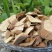 贵州野生羊奶果根纯野生500g克包邮胡颓子根羊山咪根天然