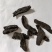 肉苁蓉野生内蒙古软质肉苁蓉炮水炮酒