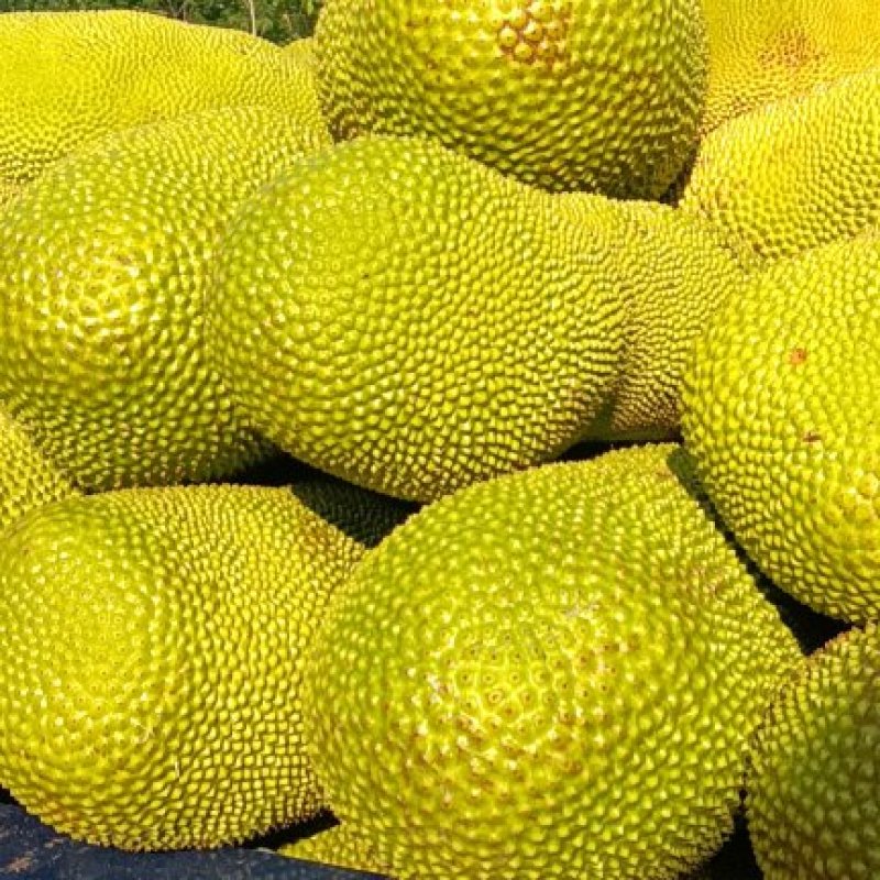 可代卖，欢迎来电骚扰……