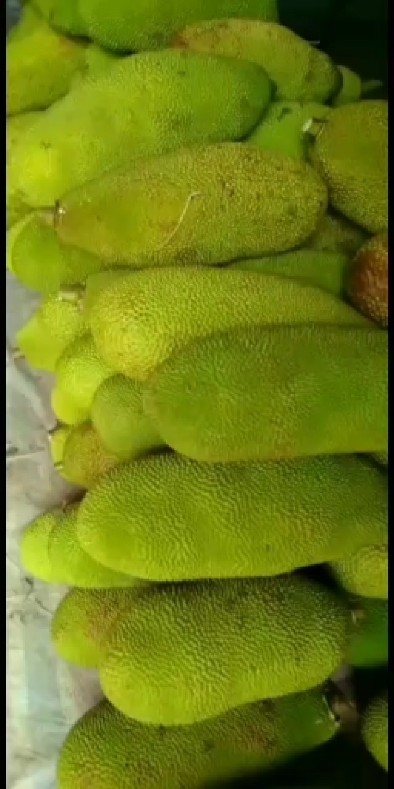 可代卖，欢迎来电骚扰……