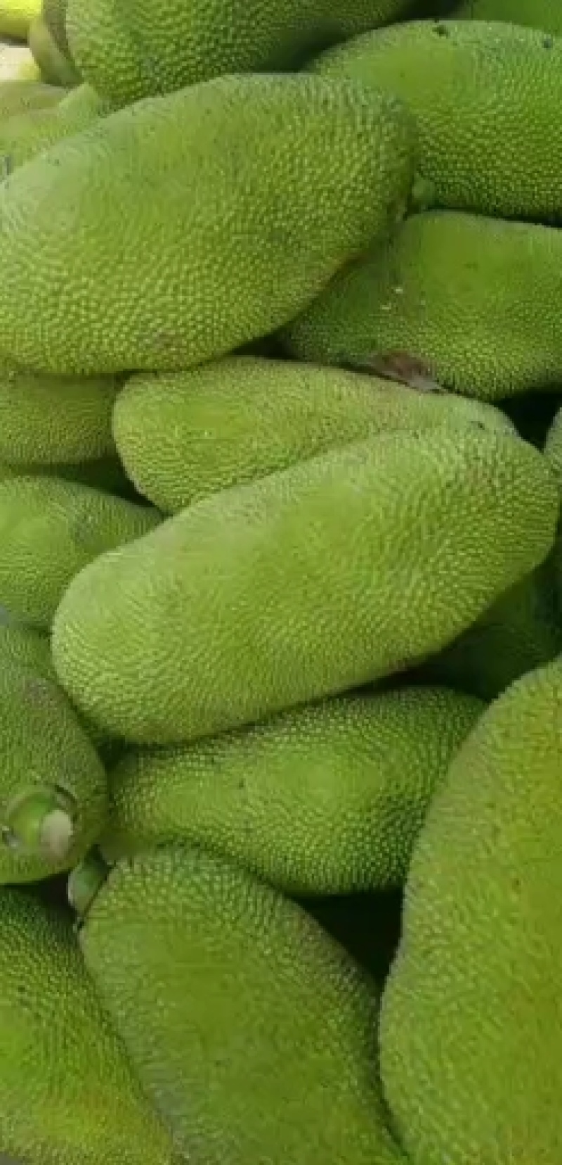 可代卖，欢迎来电骚扰……