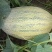 淖毛湖86王精品哈密瓜