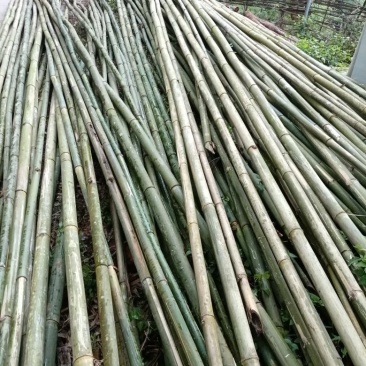 建筑材料竹子。