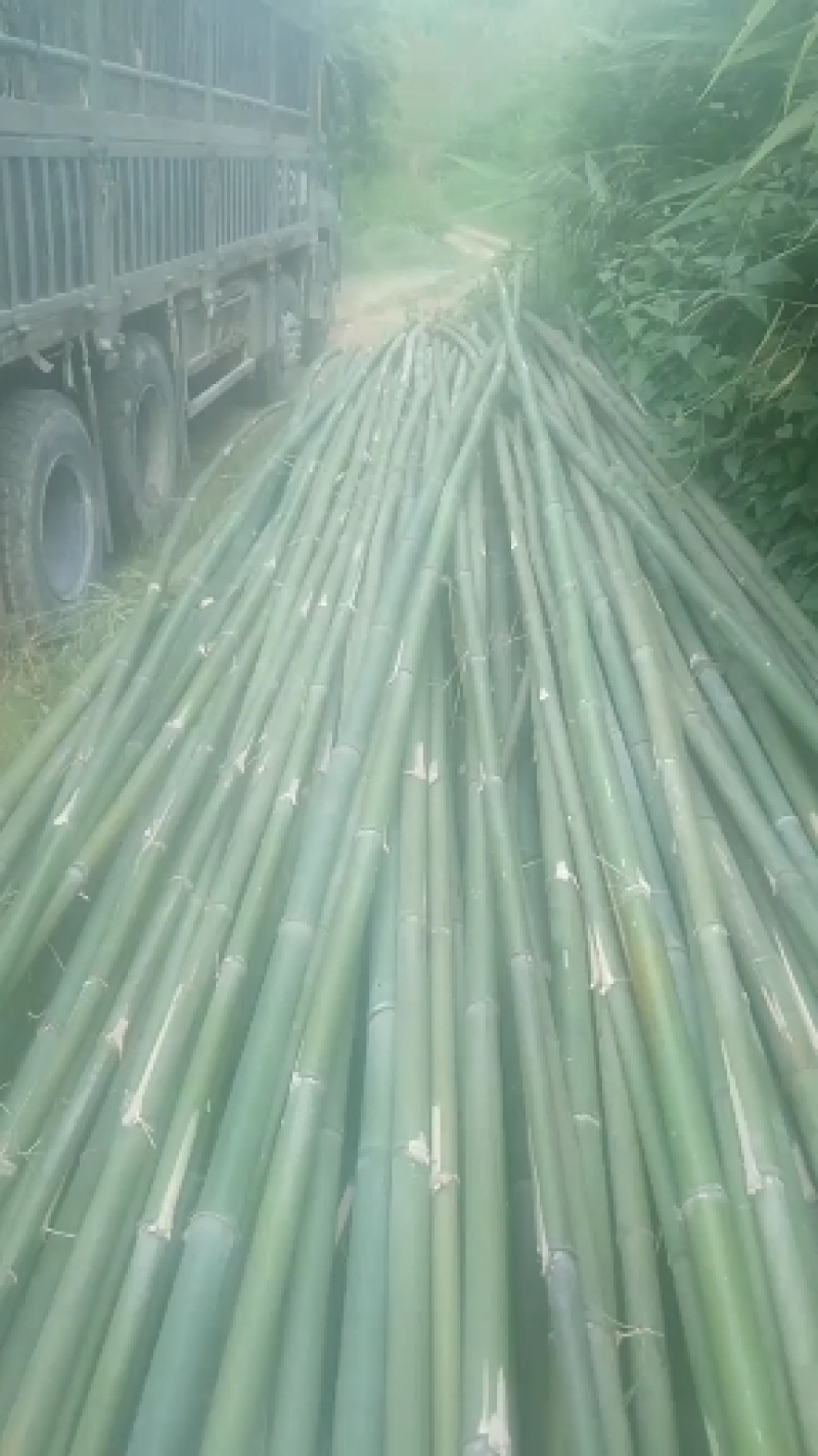 建筑材料竹子。