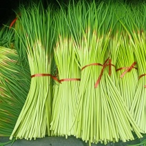 平邑精品蒜苔，红帽蒜薹【热卖中】，产地直销，长度40厘米