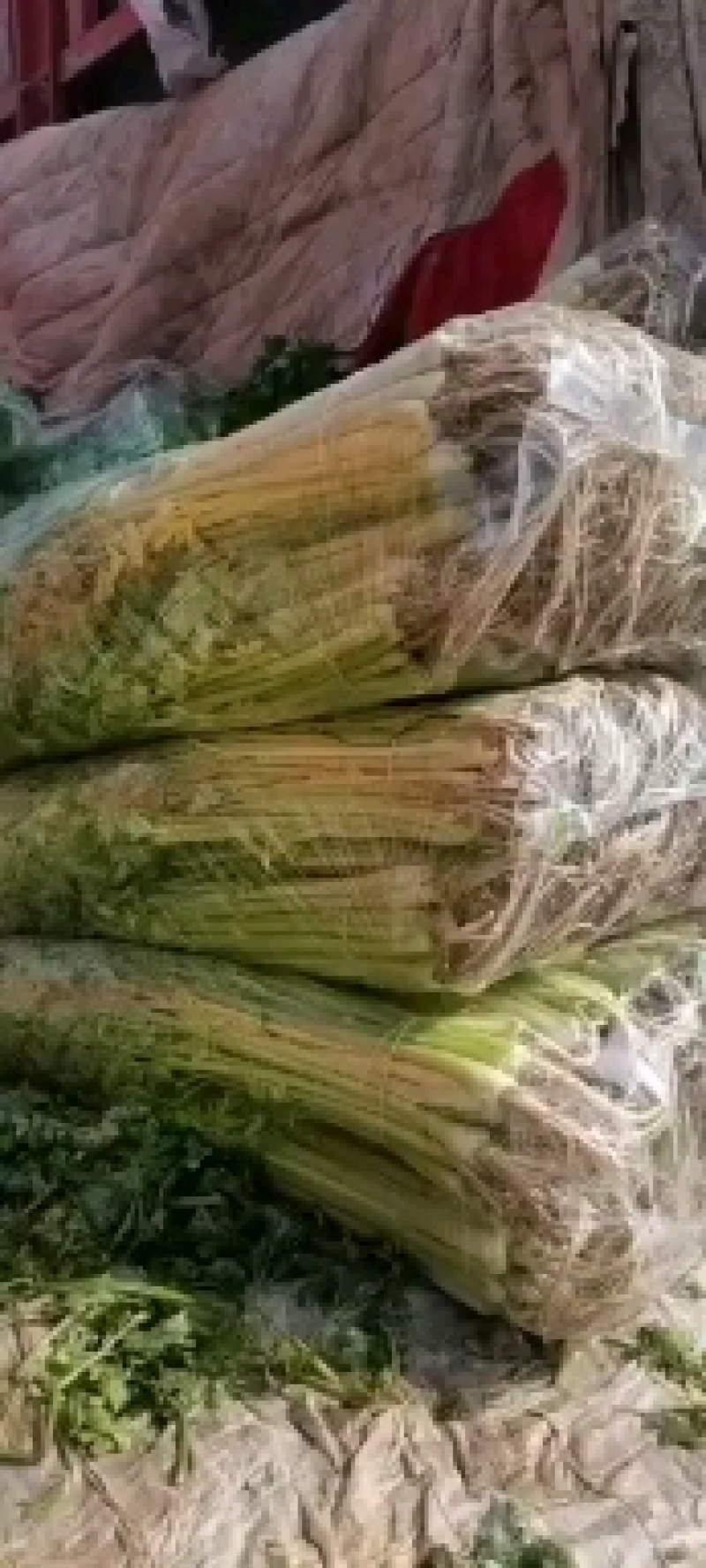 油麦质量好，叶菜品种多货源充足欢迎咨询采购。