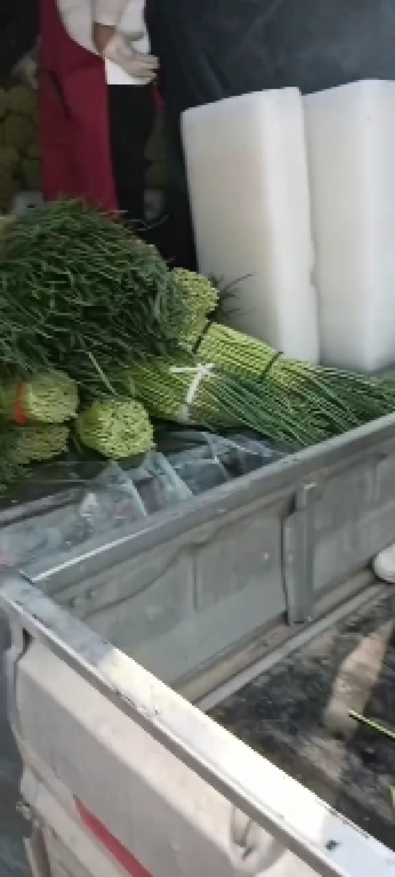 通许蒜薹，红帽蒜薹，质量好，条长口感好，产地发货