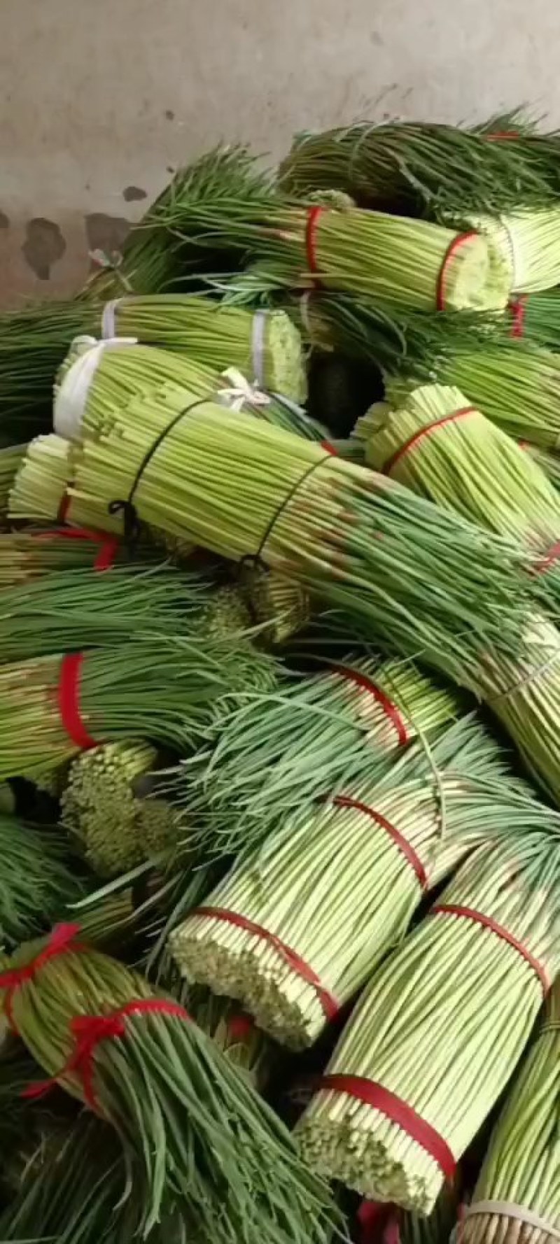 通许蒜薹，红帽蒜薹，质量好，条长口感好，产地发货