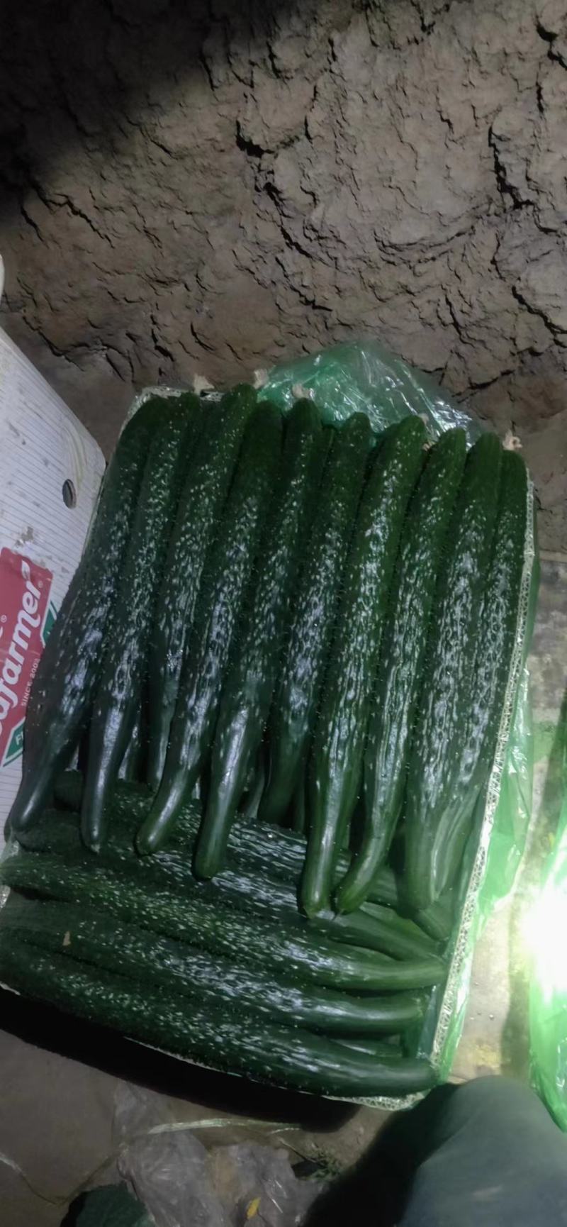密刺黄瓜，量大品优，电商，超市，批发绿瓢黄瓜口感好