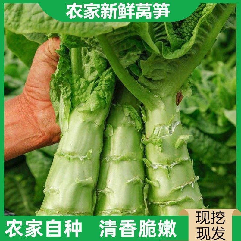 精品莴苣，产地直供，价格实惠，欢迎进店选购
