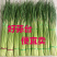 江苏蒜薹,量大从优,货源充足,欢迎客商进店选购