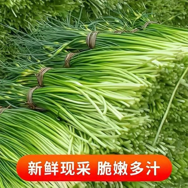 江苏蒜薹，量大从优，货源充足，欢迎客商进店选购