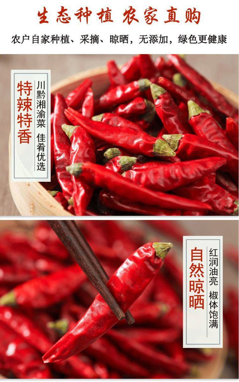贵州遵义满天星干辣椒特辣特香小米辣干辣椒七星椒包质量包邮
