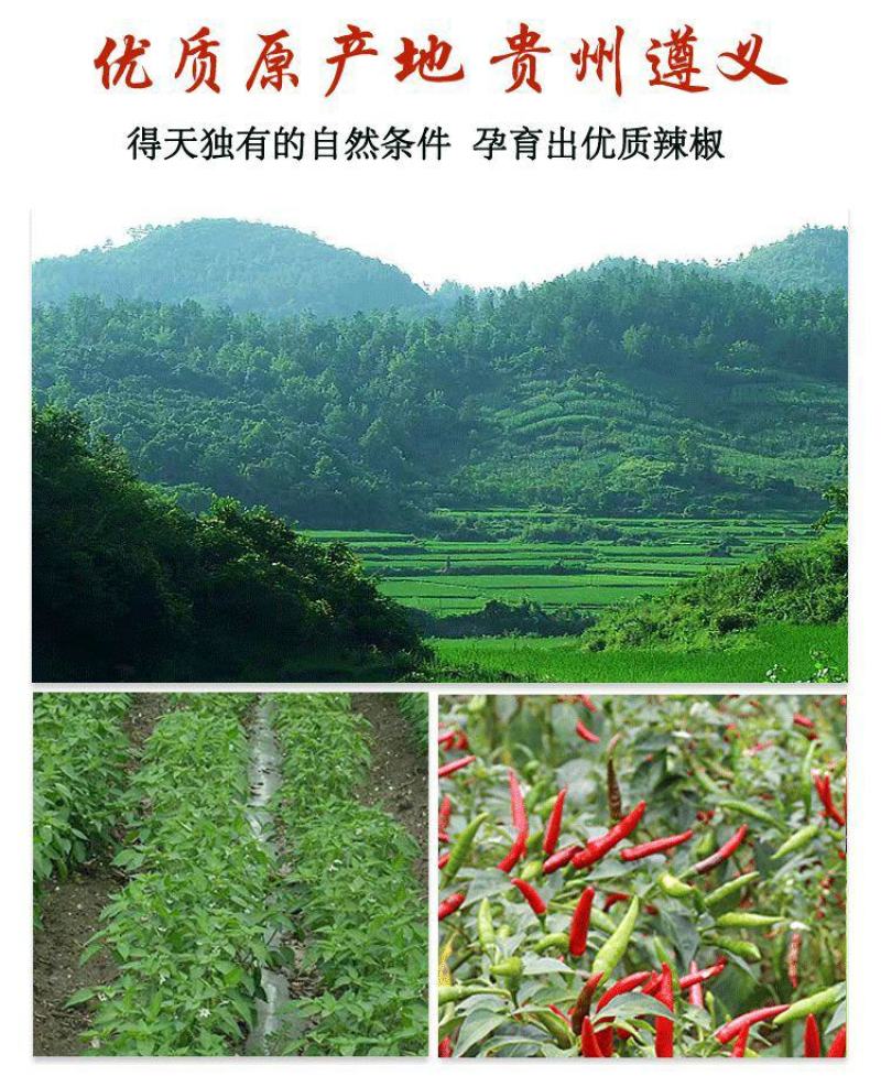 贵州遵义满天星干辣椒特辣特香小米辣干辣椒七星椒包质量包邮