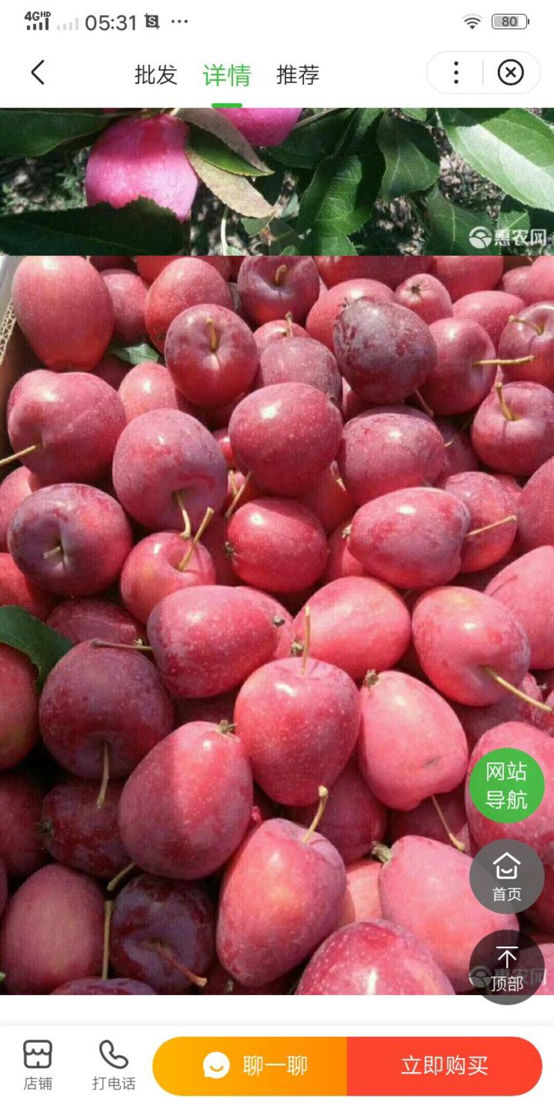 新疆伊犁水果供应:葡萄，西梅，鸡心果，恐龙蛋