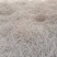 远志干货量大