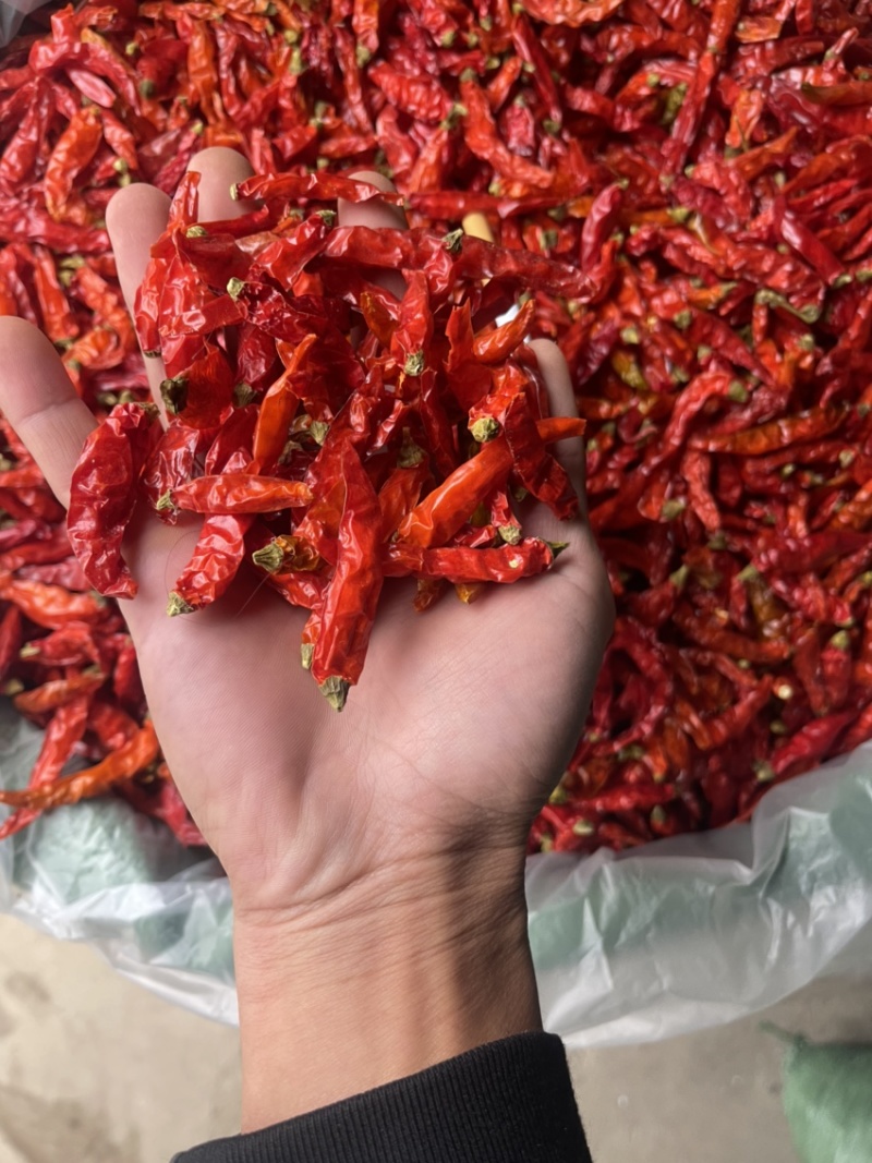 艳红精品小个中期货