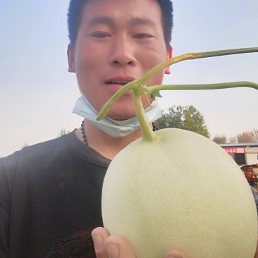 玉姑甜瓜，网名冰淇淋甜瓜，冰清玉姑，口感糯甜，绿肉大量上