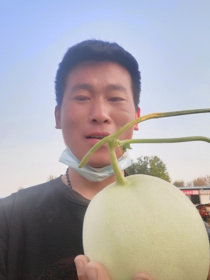 玉姑甜瓜，网名冰淇淋甜瓜，冰清玉姑，口感糯甜，绿肉大量上