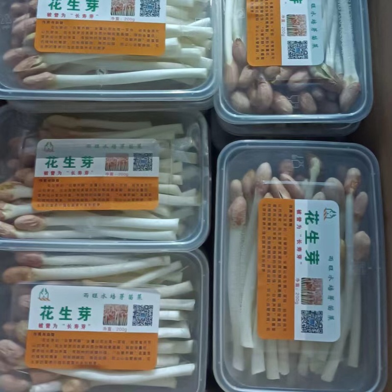 【热销】新鲜花生芽，合作社直供，加盟合作共赢，技术指导。