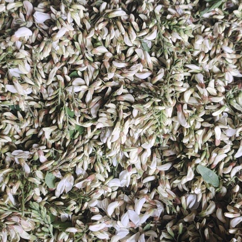 新鲜洋槐花，当天收当天发货，自己冷库可以打冷，可以加冰。