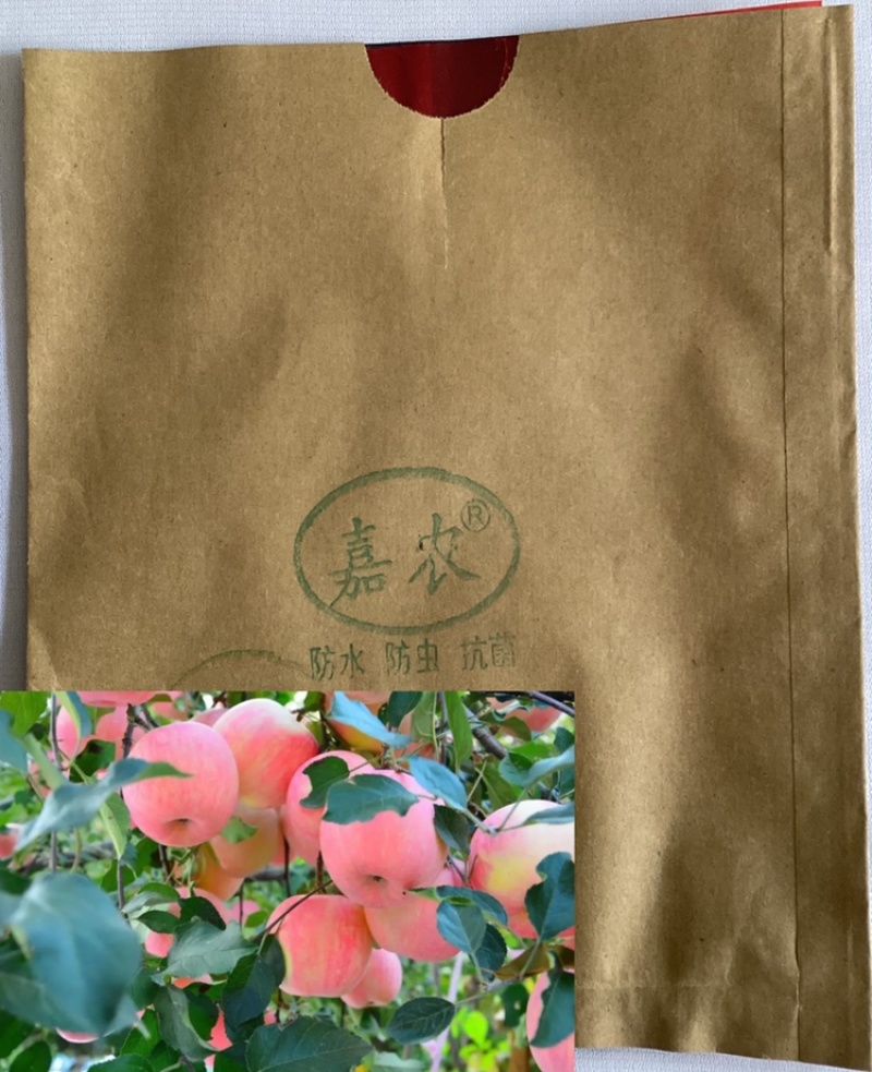 苹果专用寒富苹果粘底内红