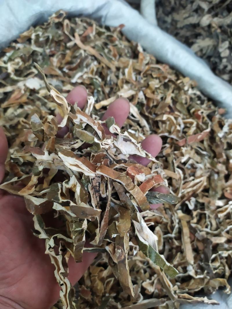 瓜壳（青）全国发货诚信经营货源充足基地直供