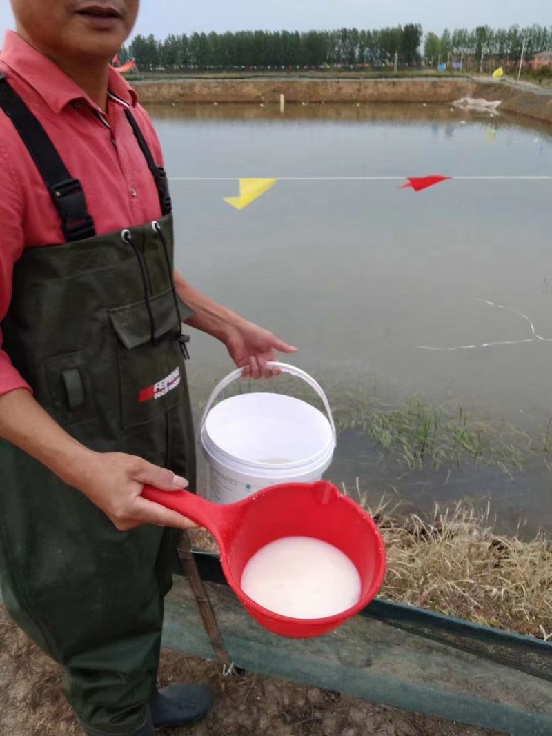 淡水澳龙虾苗，安徽本地出品