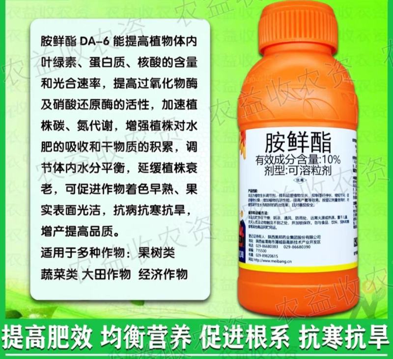 美邦10%胺鲜酯保花保果膨果着色增甜花芽分化生长调节剂