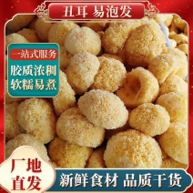 古田银耳/丑耳/白木耳/糯耳食用菌干货产地批发一手货