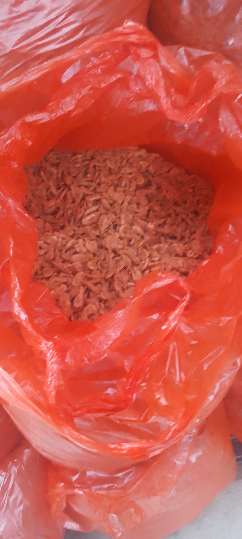 油炸虾仔油炸虾皮，厂家直销量大价优诚信经营欢迎选购