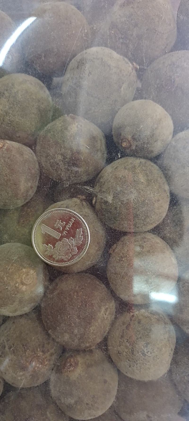 正宗化州橘红化橘红细毛味道香干度够量大好货
