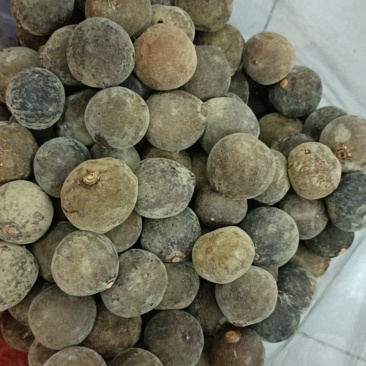 正宗化州橘红化橘红细毛味道香干度够量大好货