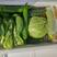 蔬菜礼包8-10菜一箱10-13斤可定制基地直发便宜