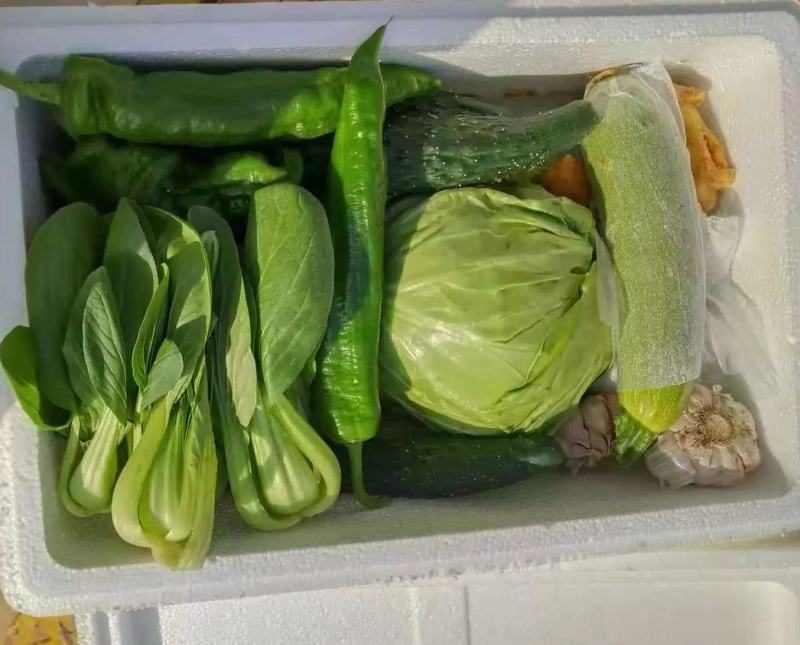 蔬菜礼包8-10菜一箱10-13斤可定制基地直发便宜