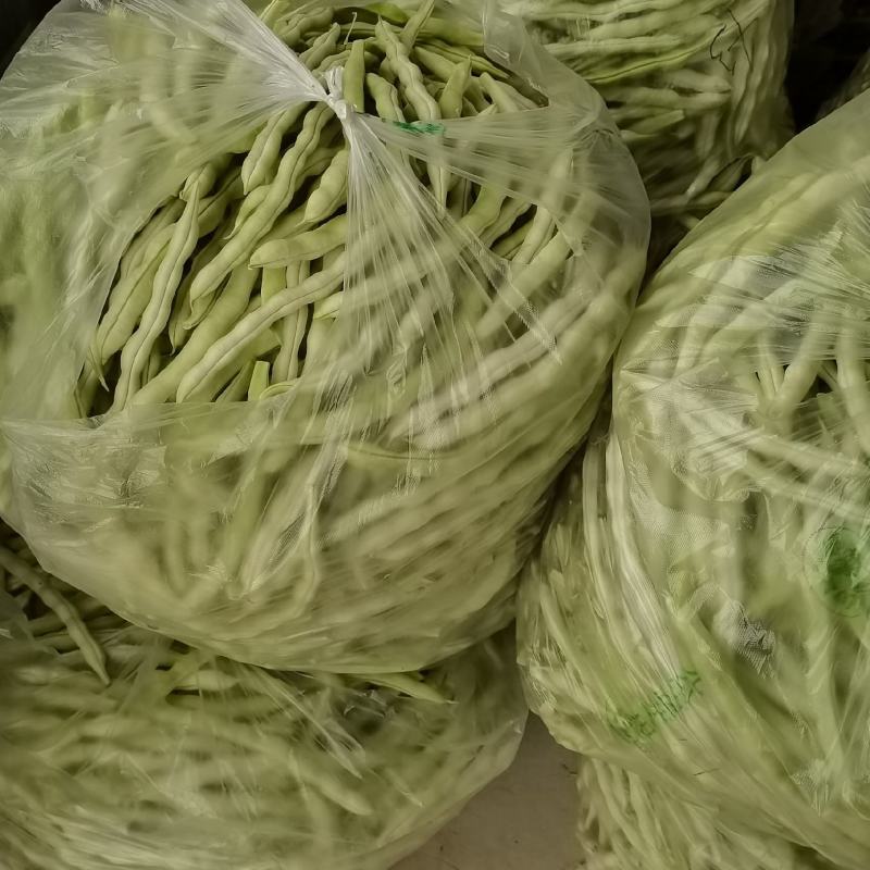 平度市崔家集镇精品芸豆大量上市中