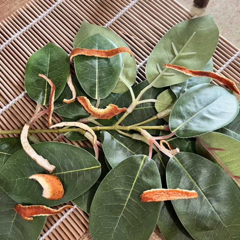 药用陈皮干货正品物美价廉质保无硫无添加当天发货