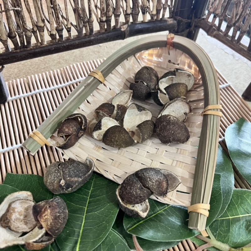 青皮精选生晒四花青皮产地直销今年新货保质保量