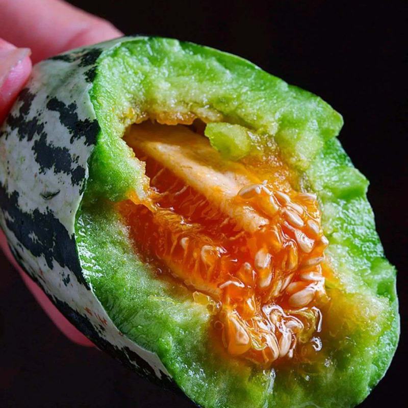 新鲜甜瓜河北博洋9号甜瓜大量上市，可代收，全国发货