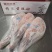 羔羊前腿烧烤饨锅卤制单重2.5斤至3斤质量保证
