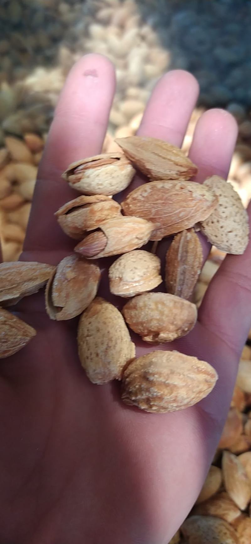 新疆纸皮干巴旦木原味儿没有加，新疆特产国内包邮