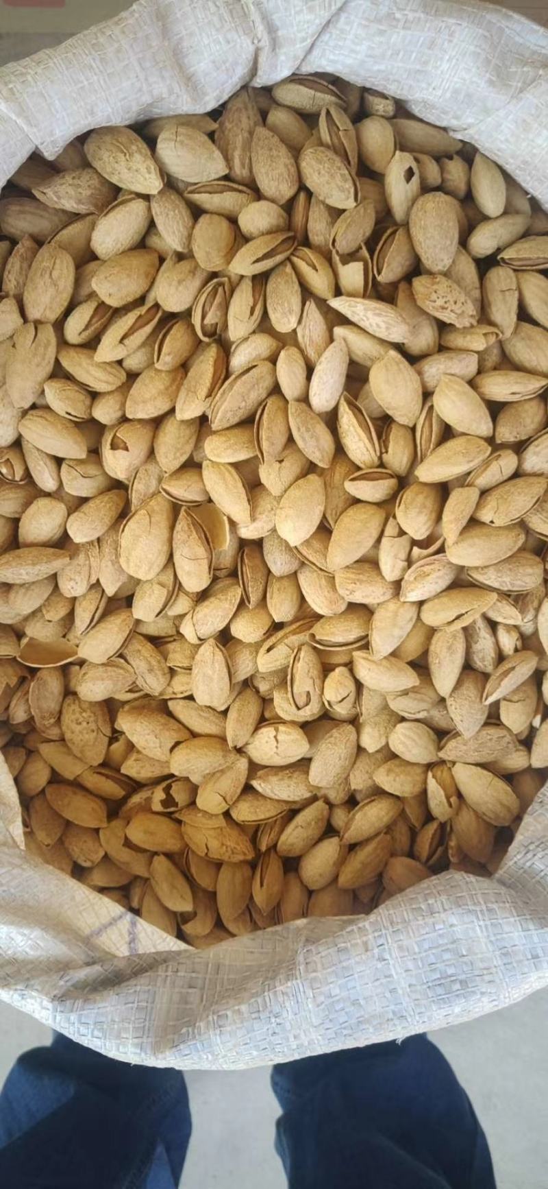 新疆纸皮干巴旦木原味儿没有加，新疆特产国内包邮