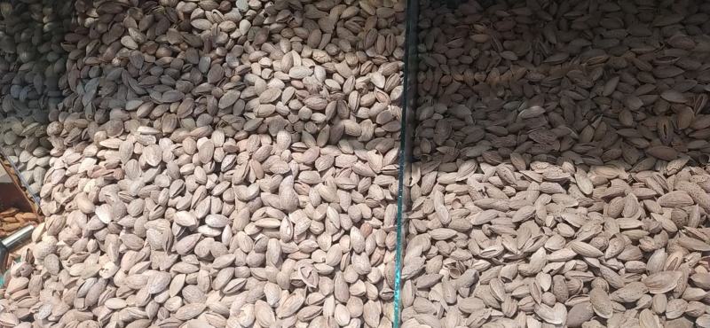新疆纸皮干巴旦木原味儿没有加，新疆特产国内包邮